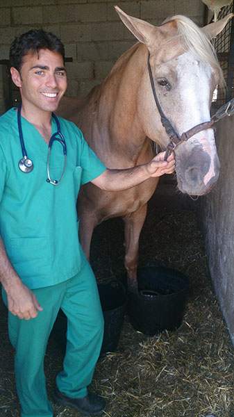 colico veterinario equino en malaga