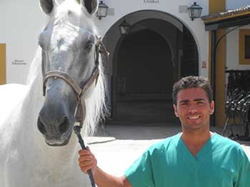 Examenes precompra para caballos de concurso morfológico