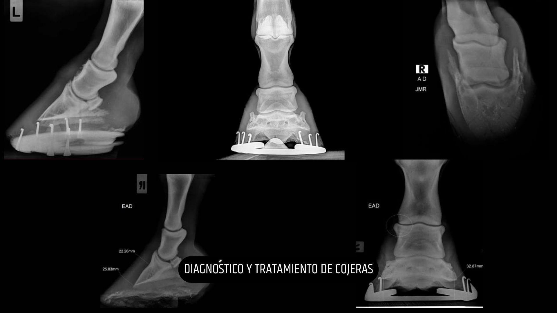 MEDICINA DEPORTIVA (10)